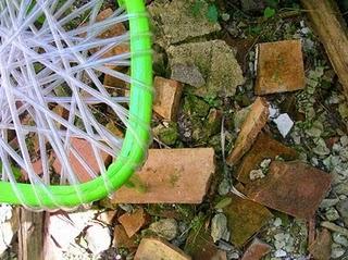 Intervista esclusiva a Francesco Cijecam Bonini