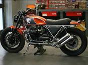 favourite Guzzi... Ever