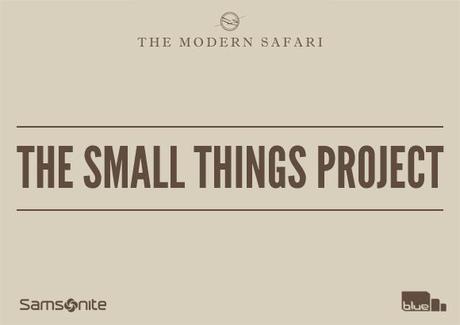 The Small Things Project