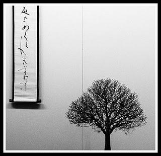 Recensioni minimaliste: Review in Haiku