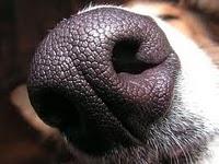 Sta cambiando l'aria sull'Euro?