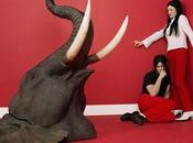 Elephant White Stripes