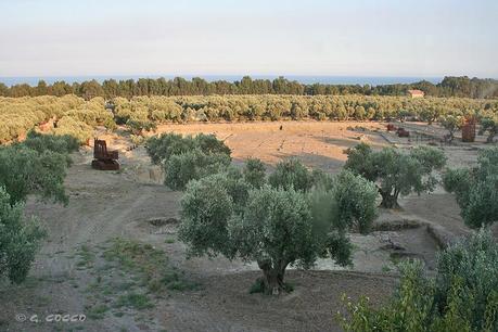 Viaggio a Soverato in una Calabria eco insostenibile