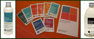 Diario di un pomeriggio al Sana