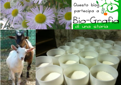 Bio-Mousse di Branzino per contest BIO-GRAFIA DI UNA STORIA