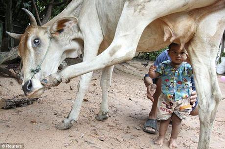 Neighbours and local officials in the village of Pheas in Siem Reap province, about 195 miles from the capital Phnom Penh, say they are not happy about the nursing