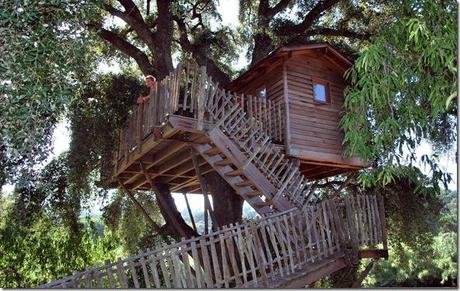 01_tree-house