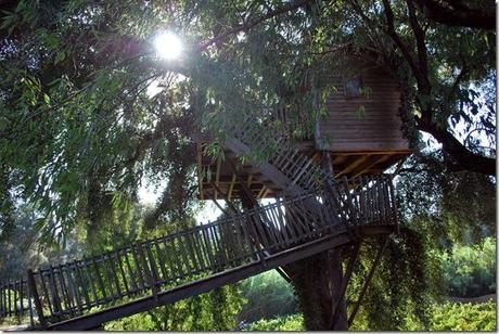 08_tree-house