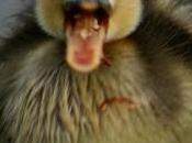 Un’offerta poté rifiutare