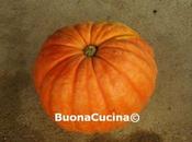Adoro zucca genere, preparata così semplicemente fantastica