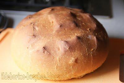 Esperimenti - Pane con pasta madre