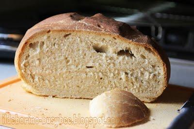 Esperimenti - Pane con pasta madre