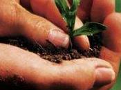 Agricoltura: boom biologico