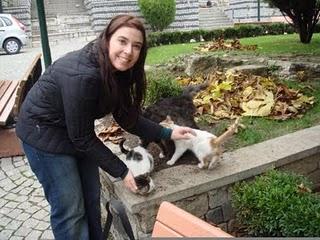 Roba da gatti: i gatti di Istanbul.