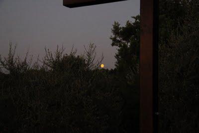 da che parte guardare?