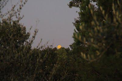 da che parte guardare?