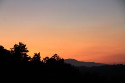 da che parte guardare?