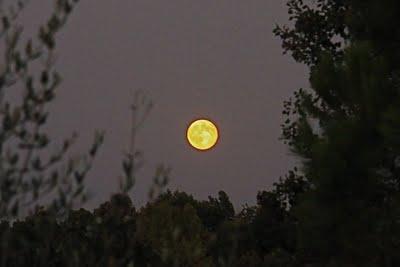 da che parte guardare?