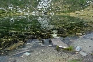 I laghi di Muino (1883m,1940m), Valle Vigezzo