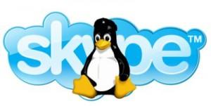 Linux: webcam non funzionante in Skype? Ecco uno script che potrebbe risolvere