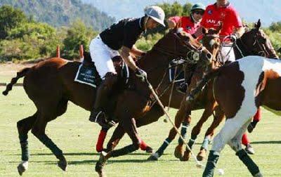 LO STILE DEL POLO - POLO STYLE - A NICHE SPORT