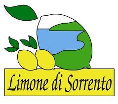 Limone di Sorrento IGP