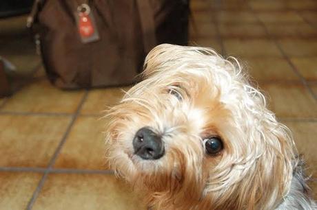 travelling to Milan...