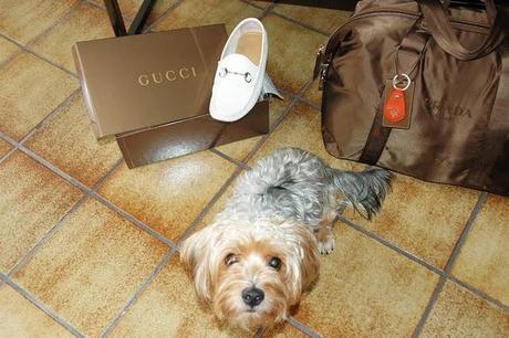 travelling to Milan...