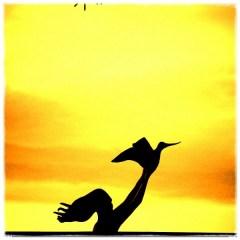 Uenuku – Una fotografa downunder: difetti kiwi non pervenuti