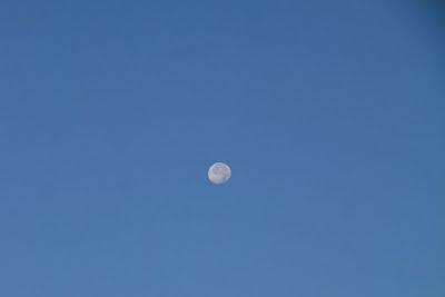 la luna di ieri sera