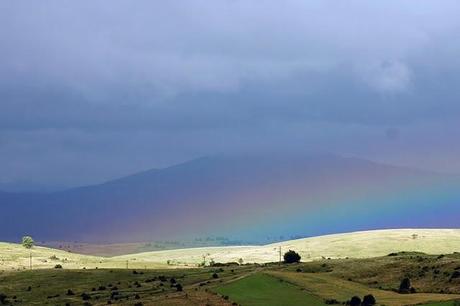 I colori del desiderio...