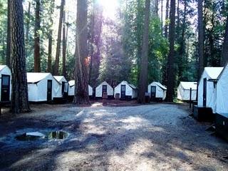 Una gita allo Yosemite National Park: pro e (ebbene sì) contro