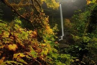 Stralci d'Ispirazione - 1 - Cascata dell'Ascolto