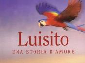 SUSANNA TAMARO: Luisito. storia d'amore