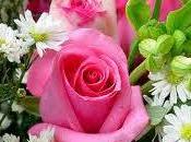 cinque caratteristiche pelle ideale