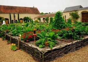 L'orto giardino