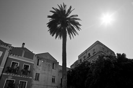 Un festival, un caffè, tanti incontri