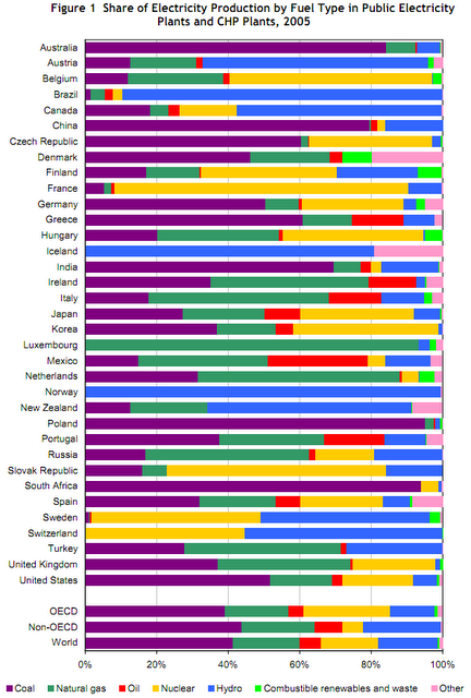 Energia elettrica: combustibili ed efficienza
