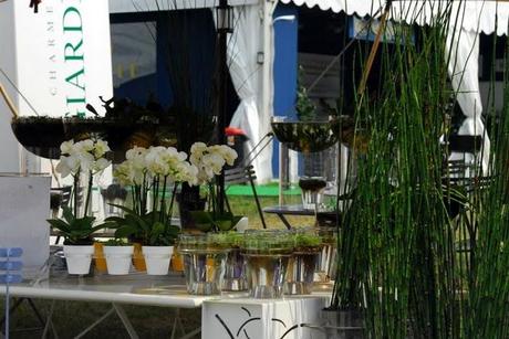 TasteofMilano 2011: l'anno prossimo si va in camper e scarpe basse :)