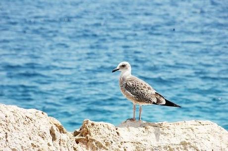 Castello a Mare del Golfo...Natural Paradise