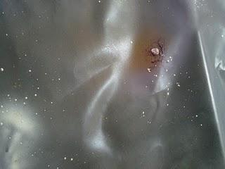 battlefleet gothic, lo spazio profondo