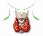 ipotiroidismo ed ipertiroidismo subclinico: la tiroide asintomatica va curata ?