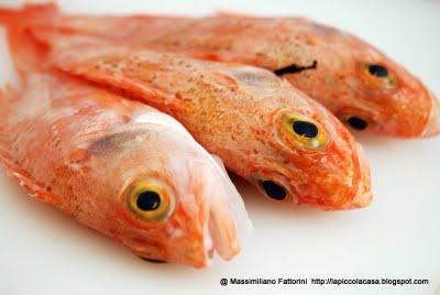 Scorfani di fondo con aneto, capperi di Pantelleria e pomodorini