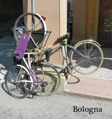 Bici nel mondo…