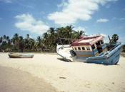 Srilankan Serendipity