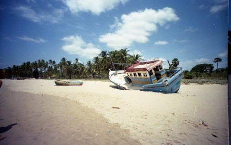 Srilankan Serendipity