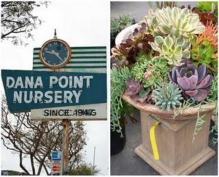 Dana Point Nursery