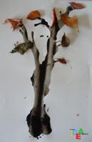 SOFFIA, SOFFIA PIU’ FORTE!