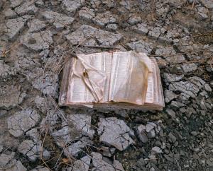 I libri che leggeremo in un’altra vita