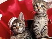 ```````buon natale buone feste...